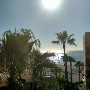 Meet your Posher, Carla